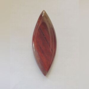 Petrified wood stone
